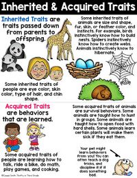 Inheritance and Variations of Traits: Life Cycles and Traits 3rd Grade NGSS | Thrifty in Third Grade