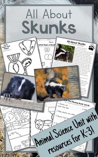 Real photos, non-fiction articles, crafts, worksheets, and writing templates to round out your unit about skunks. This package is geared towards pre-K through 2nd grade and has a variety of levels of reading and writing resources. Its seriously packed with amazing stuff!