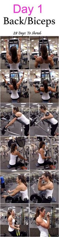 28 Days 2 SHRED Day 1: BACK/BICEPS