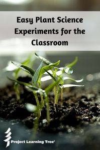 Easy Plant Science Experiments for the Classroom - Project Learning Tree