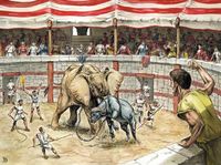 Arène romaine en Afrique du Nord, Davide Bonadonna