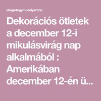 Dekorációs ötletek a december 12-i mikulásvirág nap alkalmából : Amerikában december 12-én ünneplik a mikulásvirág napját, Poinsett emlékére