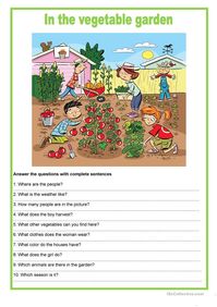 Picture description - In the vegetable garden