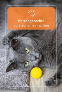 Nehmt das Unterhaltungsprogramm eurer Wohnungskatzen einfach selbst in die Hand: Richtet Spielzonen mit Kletter- und Kratzbäumen, Katzenspielzeug und Rennstrecken ein.