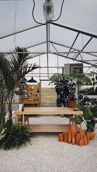 Hilton Carter on Instagram: "Decided I needed a space to make more plant care/ plant styling content in, so I rented a little hot house that was previously being used to grow flowers and made it my new workshop. I think it’s time to get back to work! 🙌🏾🌿⚡️ . . . . #HiltonsLivingWild #home #interior #greenhouse #howyouhome #lush #plants #plantparenthood #WildatHome #currentdesignsituation #vogueliving #livingspace #interiordesign #interiorstyling #cozyhome #homedecor #homeadore #livingroom