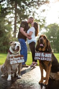 "Free Shipping! Our Humans Are Getting Married Wood Signs,Pet Save the Date Sign,Wedding Save the Date Sign for Dog,Dog Wedding Neckware,Wooden Save the Date Sign,Save the Date wood sign, Pet Save The Date Signs, I loved her First, Save the Date Photo Prop Cute Perfect way to have your fur babies announce your wedding date! This listing is for your choice of Our Humans Are Getting Married, Save the Date and or I Loved Her First Wooden Sign- (Choose From Drop down Menu) Signs are stained english