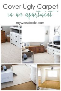 Covering ugly carpet is easy with an area rug. See how to cover ugly carpet with a neutral rug in a natural fiber for a small space, apartment or any size home! #myweeabode #arearugs #smallspaces #decortips