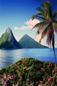 The scenery is simply stunning on St Lucia. This small jewel of an island is only twenty-seven miles long. Lovely palm fringed sandy beaches border its coastline where there are numerous fishing villages and coral reefs.