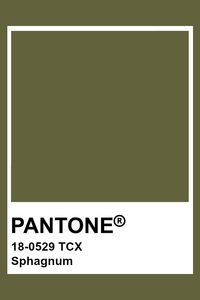 PANTONE 18-0529 TCX Sphagnum #pantone #color