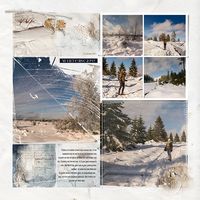 AASPN_FotoInspiredDoubleTemplate46A_copy