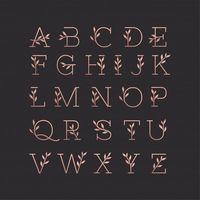 Alphabet letters design beautiful | Lettering ideas | #calligraphy #design #illustration #fonts #calligraphy_art