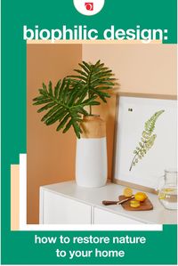 Add some life to any part of your home with the tips and ideas in Overstock's Biophilic Design guide! At Overstock you won't just find amazing deals on a huge assortment of items and Free Shipping on EVERYTHING*, you'll also find amazing guides to help you create the home of your dreams. #overstock #guides #biophilicdesign