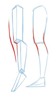 How legs work in reality, and how they can be simplified.