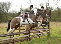 THE WORCESTERSHIRE HUNT