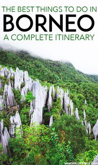 The best things to do in Borneo