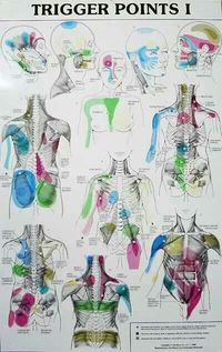 Trigger points #PsoasTriggerpoints
