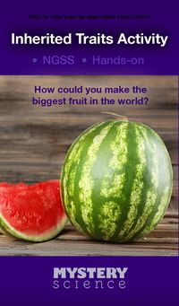 Fruit Activity - free hands-on science activity for 3rd grade elementary kids. Part of a complete unit on Flowers: Life Cycle, Traits, & Heredity. Meets Common Core and NGSS.