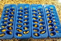 Cheap Garbage Disposal Cleaner/Deodorizer Slice lemons, put in ice cube trays and cover with vinegar. Freeze. Store in a ziplock bag. Pop one of these little cubes in the garbage disposal and grind away!
