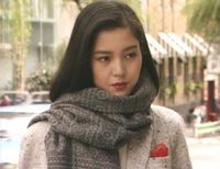 Higuchi Kanako (樋口可南子) 1958-, Japanese Actress, 糸井重里(夫)
