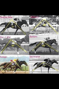 Just look at Secretariat's stride :) (If you can't read the name in the upper right hand corner, it's Affirmed).