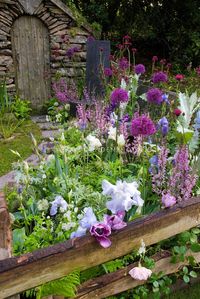 cottage garden