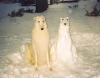 Some friends sent us this great photo of a bespoke snow dog sculpture and we thought we’d share it with you. Description from letterfest.com. I searched for this on bing.com/images