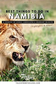 Best Places to Visit in Namibia | Tales From The Lens From sheer barrenness plains to towering sand dunes, large river canyon, lively beach town and exceptional wildlife, here is a list of the top things to do in Namibia.