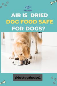 Air dried dog food is currently a widespread practice. Many of you may know about it. And many of you may confuse or have misconceptions about whether it is right for your pooch or not. Air dried dog food | Dog food | Dry dog food #dogfood #airdried #drydogfood #dogcare #doghouse