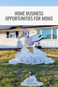 How do I know if being a Stork Handler is for me? 💫Do you want to work from home? 💫Do you desire work flexibility? 💫Do you want to make your own hours? 💫Do you have a reliable car? 💫Do you want to have the availability to go on vacation or day trips without extensive planning and request for time off? 💫Do you desire a sustainable work/life balance ? 💫Do you have a family and want to be available for the everyday but important things?