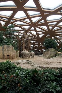 Elephant House at the Zurich Zoo by Markus Schietsch.