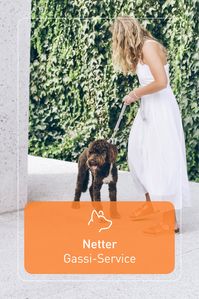 Du bist berufstätig viel unterwegs und dein Hund bekommt nicht so viel Auslauf? Wie wäre es dann mit einem professionellen Gassi-Service. So bekommt dein Vierbeiner auch genügend viele Gassi Spaziergänge.