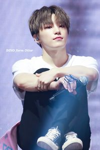 190830 Ode To You Seoul #chan #leechan #dino #세븐틴 #seventeen