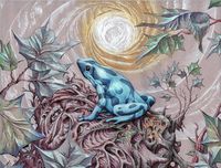 Will Shanklin Wall Art - Drawing - Poison Dart Frog by Will Shanklin