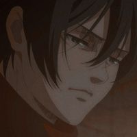 FOLLOW 𝑷𝒂𝒏𝒅𝒂𝑳𝒊𝒎 FOR MORE MIKASA ACKERMAN ICON