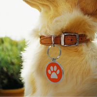 Pamper your pets and accessorize them with these 30mm metal with enamel round paw pet ID tags. The round tags measure 30 mm in diameter, and can be engraved with your pet’s information and contact details at the back side. The tag comes with a steel split ring, ready to hang on your pet’s chain. Comes in an array of colors that you can choose from.