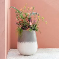 Large pot for a statement plant