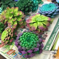 Pinecone Succulent Art Project - Adulting Made Easy