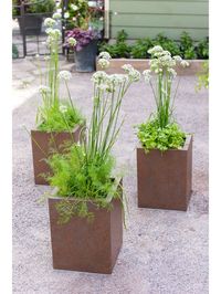 Better Metal Square Planter 12" | Gardener's Supply