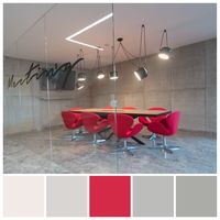 Achromatic + Red features in this interior colour design. Colour palette illustration by Zena O’Connor, PhD, featuring an image from Petra Jiráková.