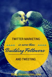 Twitter Marketing is more than building followers and tweeting