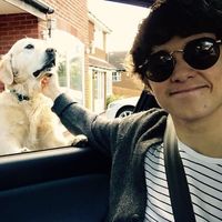 Brad Simpson