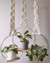 Daily Macramé • DIY 🧶 on Instagram: “Very creative, what a nice twist to a macrame planthanger. LOVE it♥️🥰⠀⠀⠀⠀⠀⠀⠀⠀⠀ ⠀⠀⠀⠀⠀⠀⠀⠀⠀ All credits to @papiplot🌿⠀⠀⠀⠀⠀⠀⠀⠀⠀ ⠀⠀⠀⠀⠀⠀⠀⠀⠀…”
