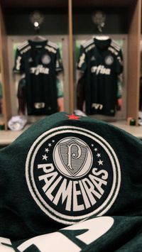Wallpaper do maior campeão do Brasil! Sociedade Esportiva Palmeiras! #mantosagrado #verdão #sep #decampeão