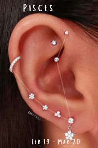 12 Zodiac Constellation Ear Piercing Ideas – Impuria Ear Piercing Jewelry