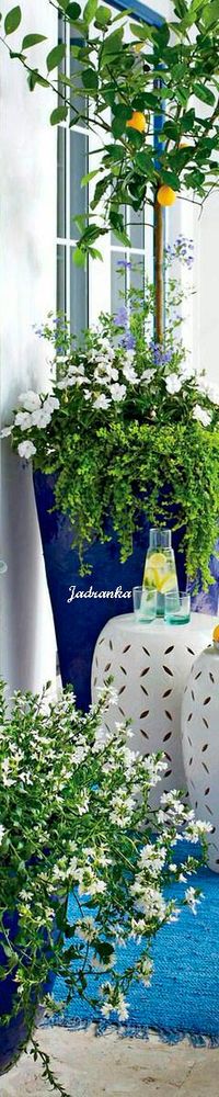 #porche #container #garden #flowers #spring #summer #Jadranka