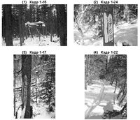 The Dyatlov Pass Incident - Their bodies showed no visible signs of wounds, yet one of the women was missing her tongue, and autopsies revealed that Nicolai Thibeaux-Brignolle endured fatal skull damage, and the bodies of Alexander Zolotarev, and Lyudmila Dubinina had been fatally struck with a force that can only be compared to a car crash.
