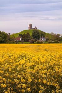 Berrow Mump, Somerset, England by Andrew Cosway Photography
