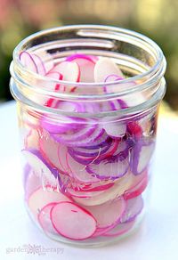 Pickled Radishes - Super Simple Recipe