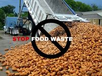 The Plant-Based DietStop Food Waste: How Plant-Based Eating Can Help - The Plant-Based Diet