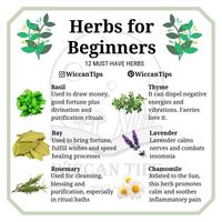 ωιccαη ωιтcн @wiccantips Instagram Profile | Picdeer #greenwitchcraft ωιccαη ωιтcн @wiccantips Instagram Profile | Picdeer